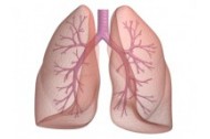 Opieka nad pacjentem z przewlekłą obturacyjną chorobą płuc (POChP)